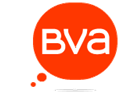 Coach de vente Conseil