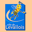 Coach de vente Conseil